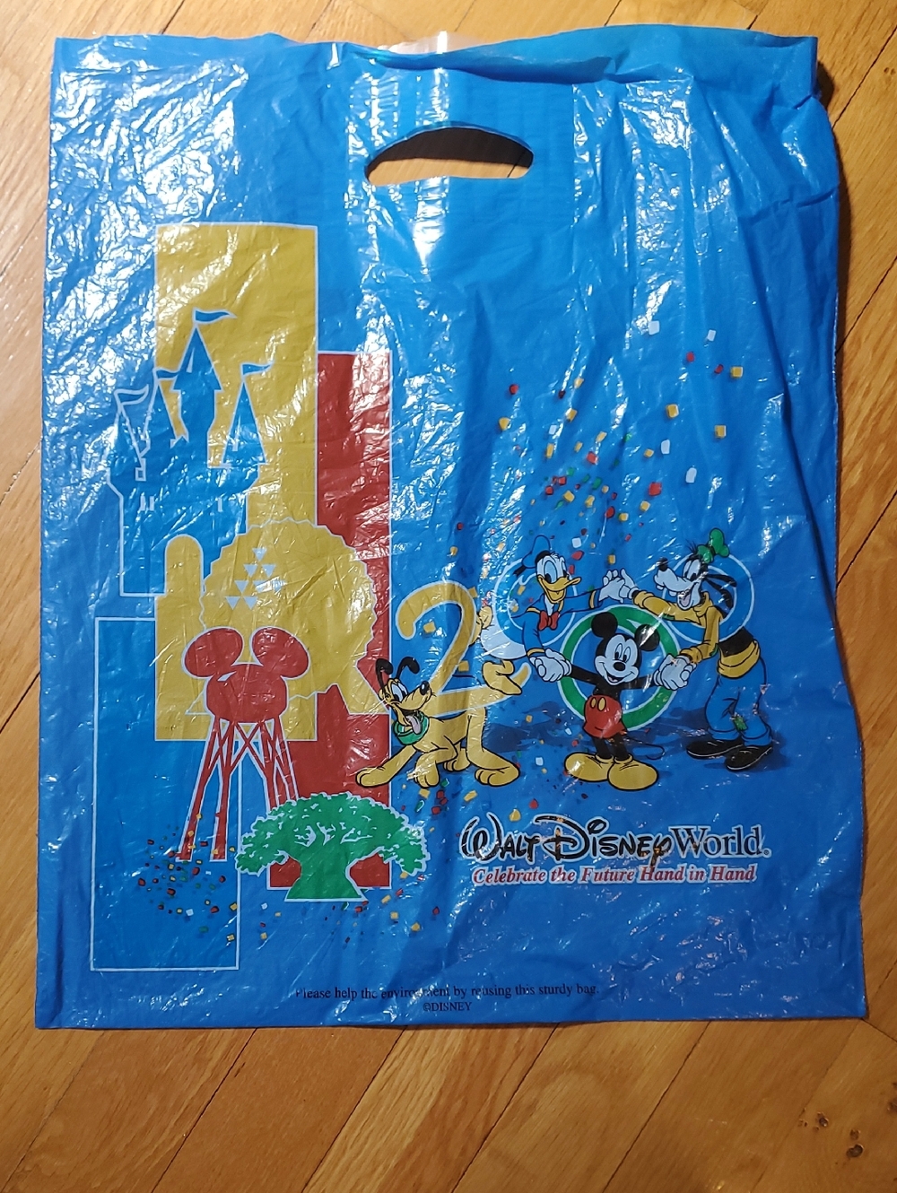 Vintage Disney World 2000 Bag
